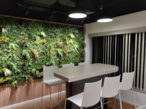 WhatsApp Image 2025-02-19 at 09.40.10 (1)